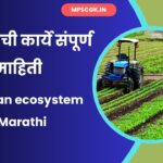 Ecosystem Meaning in Marathi
