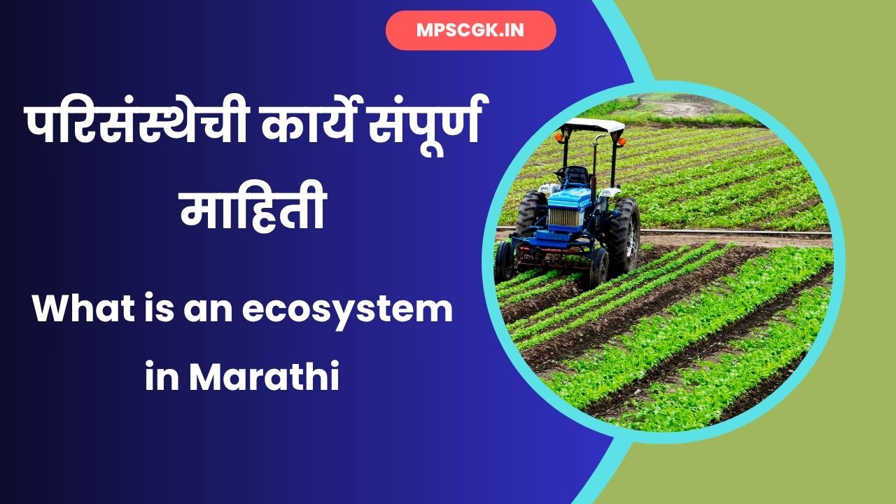 Ecosystem Meaning in Marathi
