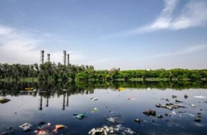 a body of water with trees and buildings in the background