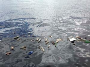 water pollution